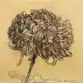 Klee
